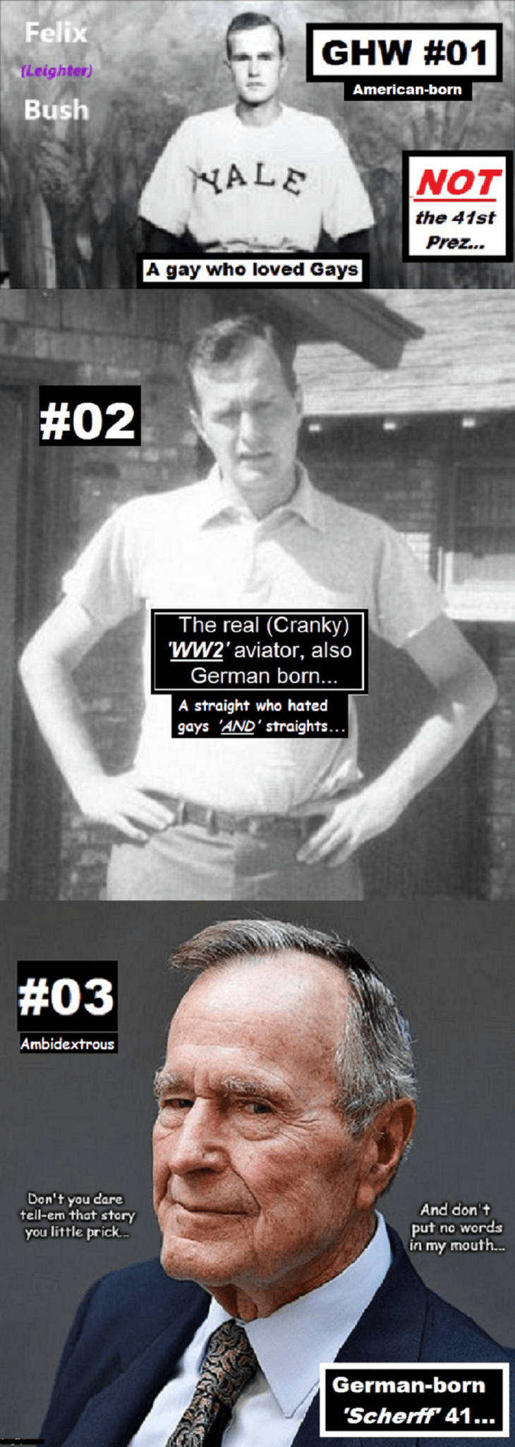 GHW Bush American George's (2)