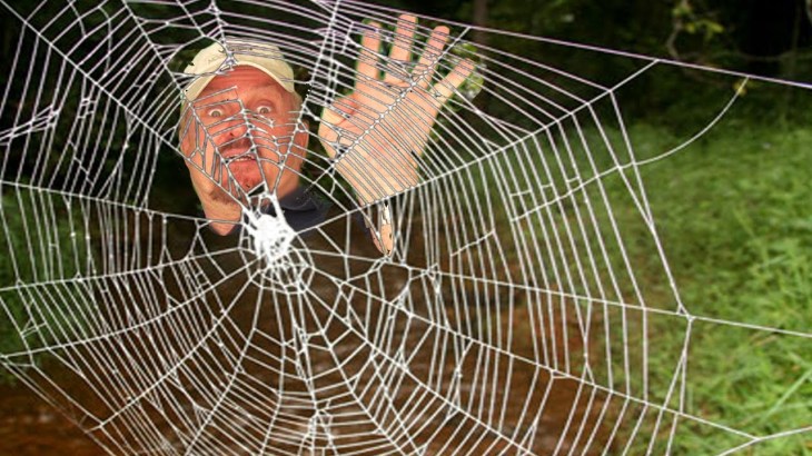 Man in spider web