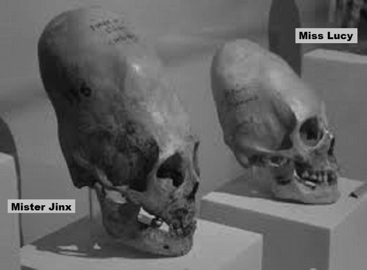 Mister Jinx and Miss Lucy BW