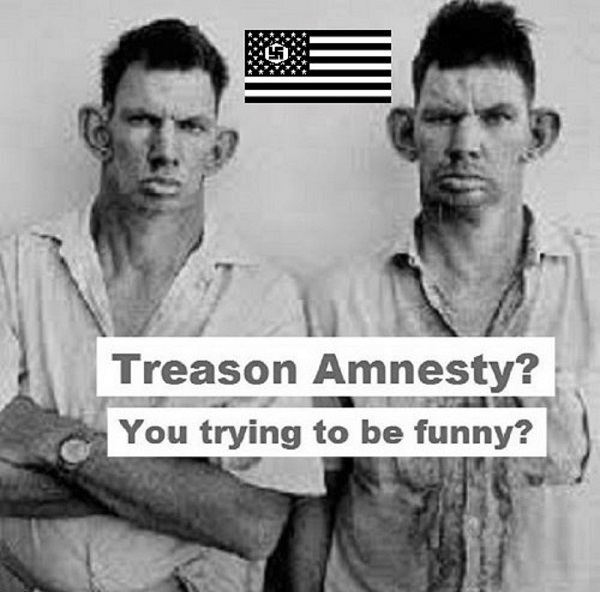 American Nazi treason amnesty 600