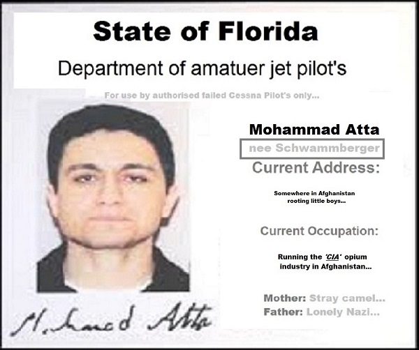 Atta-Schwammberger jet-pilot-licence 600