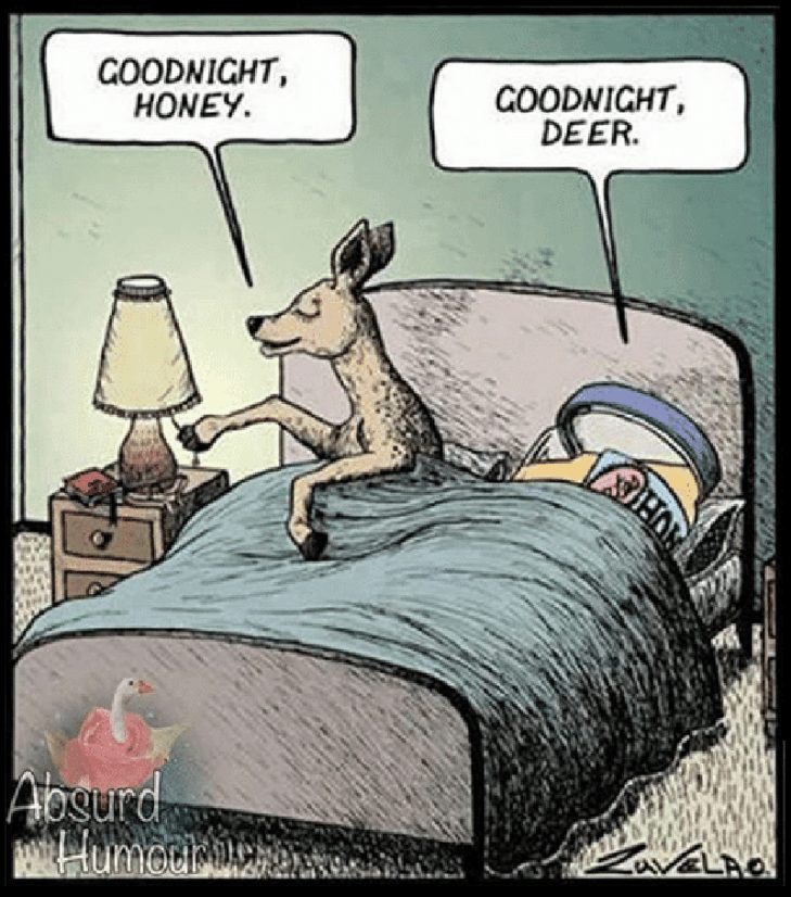 goodnight-honey-absurd-goodnight-deer-8938821