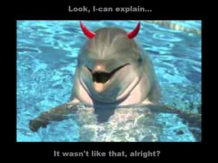 Dolphin devil cropped