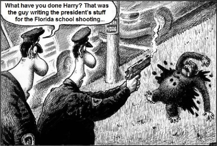 Florida school shooting monkey