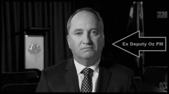 Barnaby Joyce Schwammberger's 560