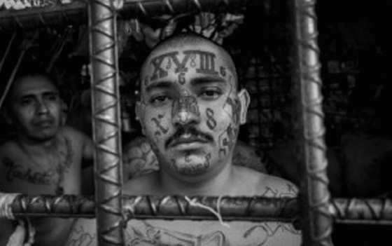 Pompeo MS 13 Schwammberger BW 560