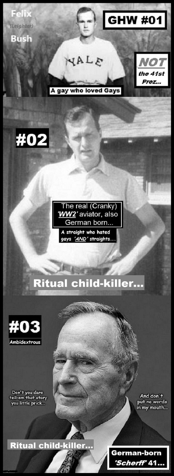 The Bush baby boys BORDER 600