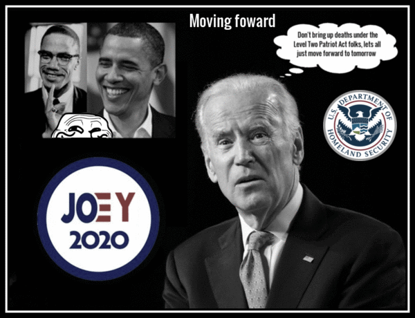 Joey Yo' Biden Obama 2020 moving forward 600