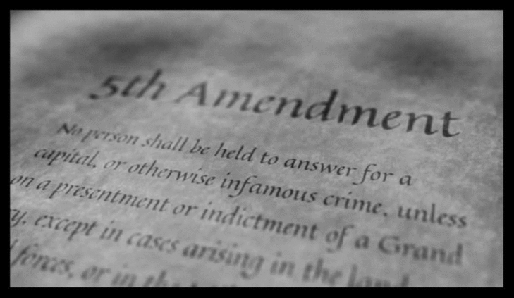 5th Amendment LARGE