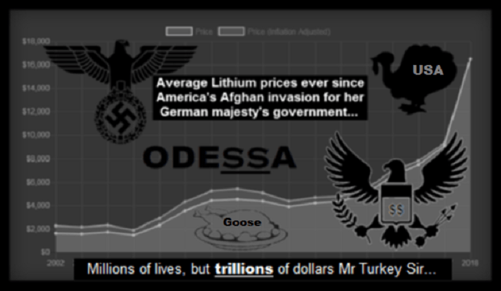 Odessa-USA Turkey Afghan-lithium- goose 730