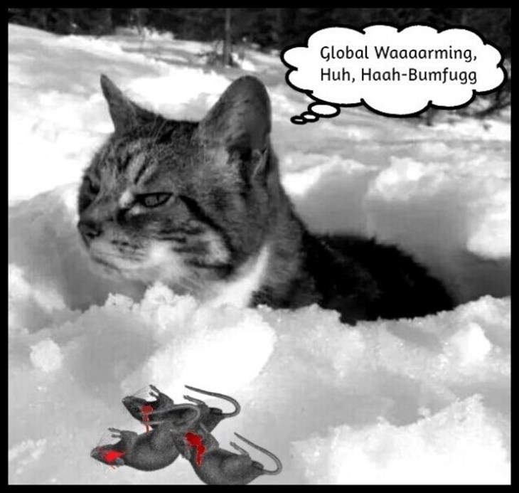 Global warming cat snow BW HAH-BUMFUGG _ Bloody mice