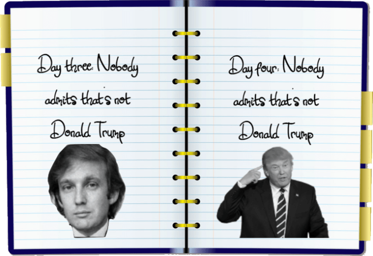 Trump impeachment Diary day three and four