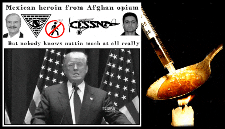 Trump Fox Afghan heroin 730