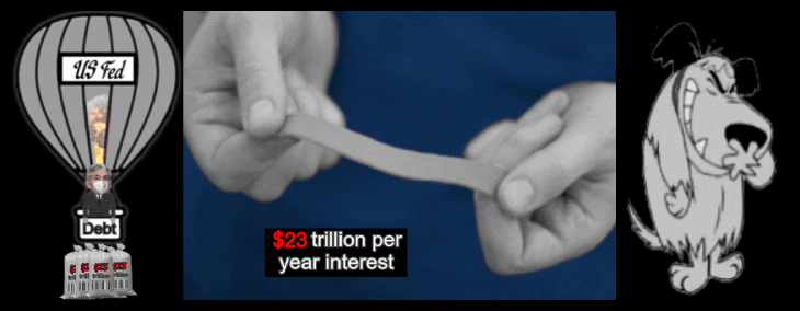 You’re just not that stupid&nbsp;Dawg’s!